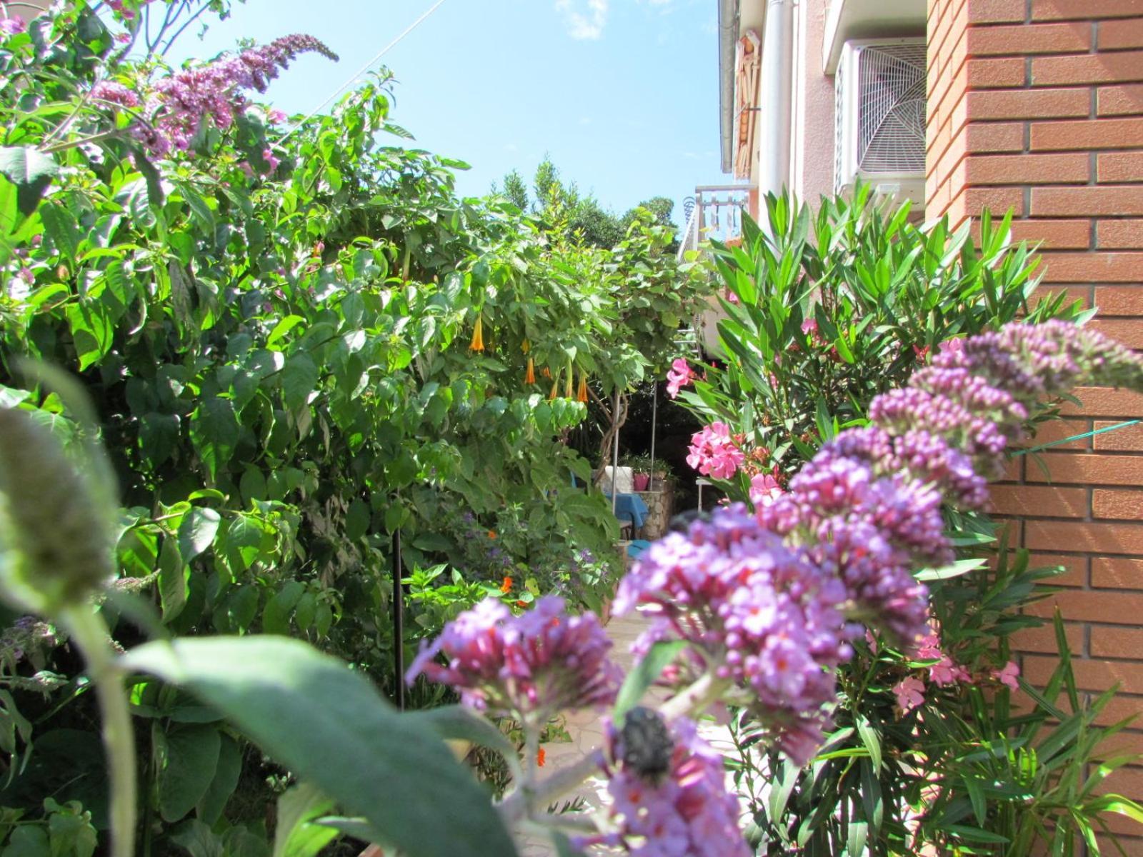 Apartments Bura & Jugo, Cres, Without Stress Exterior foto